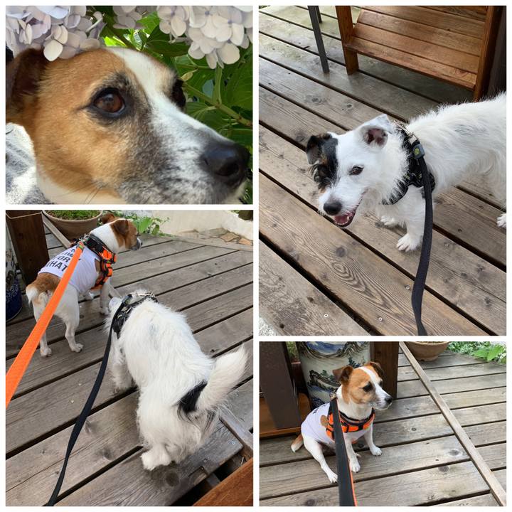 58422c87 b202 4e2b b99d 55684446ffe0 1560818913794