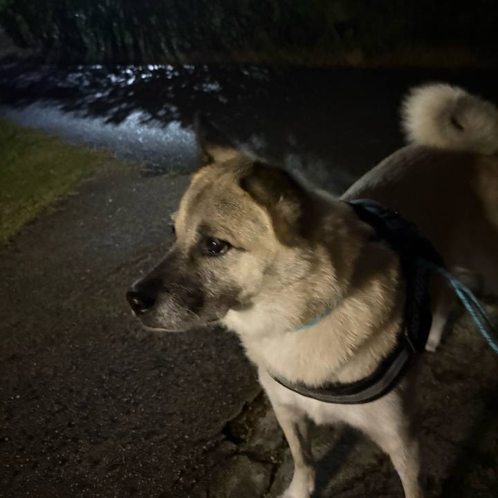 584257ad 1187 46cd b803 9008daff46f7 1759494717250