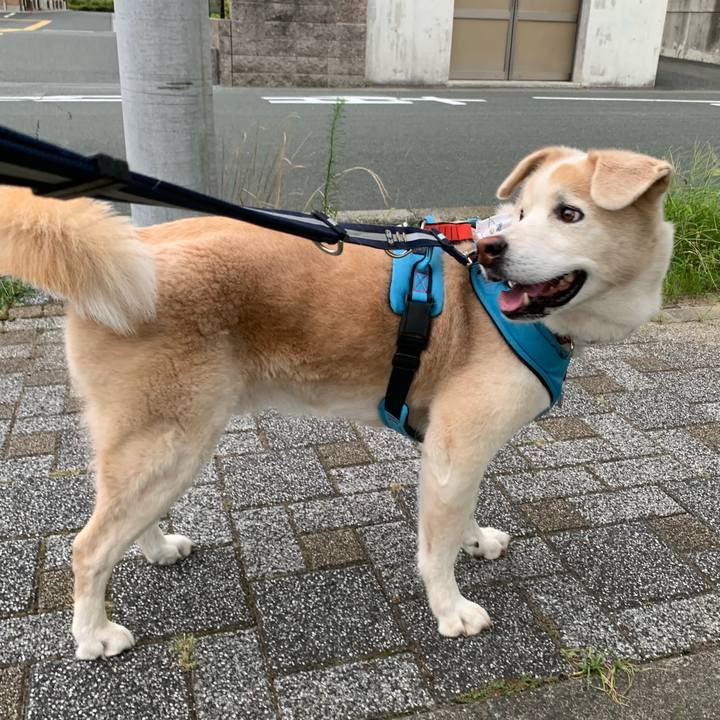 5842a69d 4a1b 480b b728 7b1715cd1dfd 1660997355590