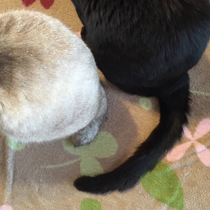 5842acee b0ea 4855 8ce3 53b6ff524b24 1525469710713