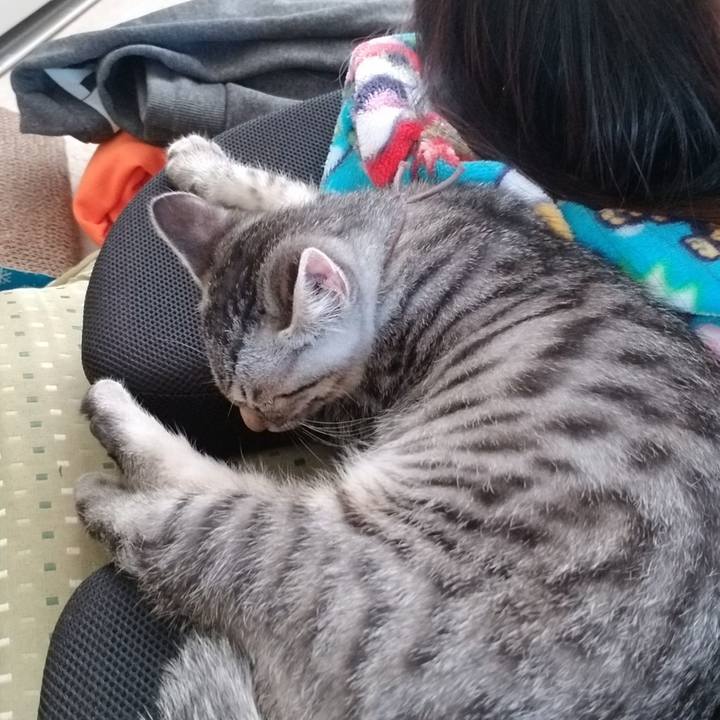 5842aeac 447f 426e b78f c2f85c9d18f5 1665155105188