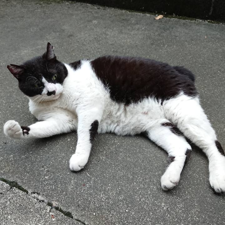 5842b354 4ae1 4ee2 9855 dab510046f4e 1630394886194