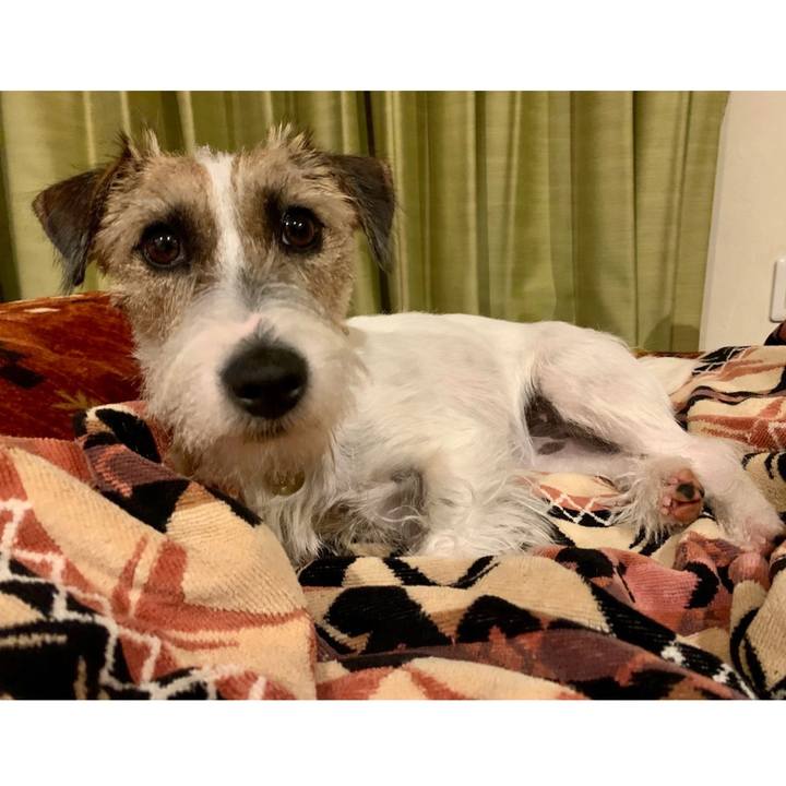 5842cd39 6a74 497a 99dc 6f301219b6cc 1605874068283