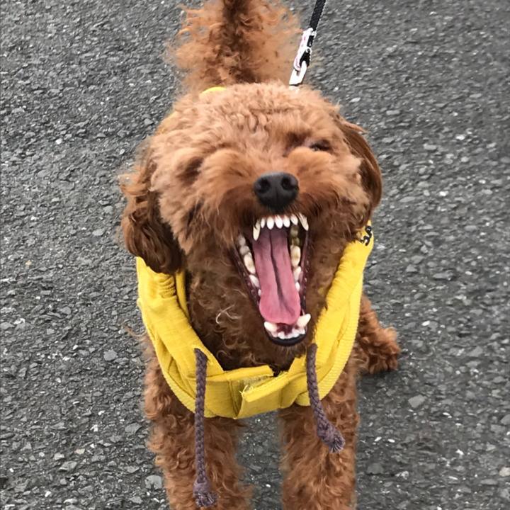 584303cd 2661 447f b640 0ed3934d4b0e 1527245216079