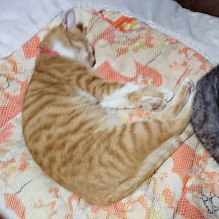 584314a2 5e33 4f50 9e82 dfec05a72c09 1569675382443