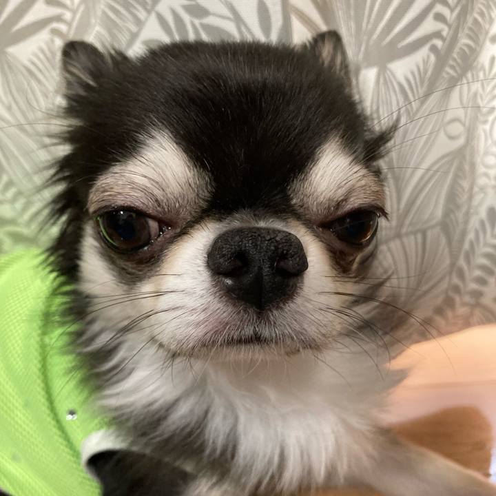 584315fd 59d7 4004 9128 dd96ccb78d53 1694272124491