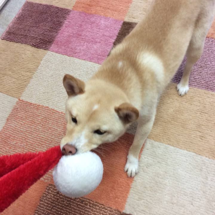 584316de da29 4220 a877 43624ca04d42 1513997968551