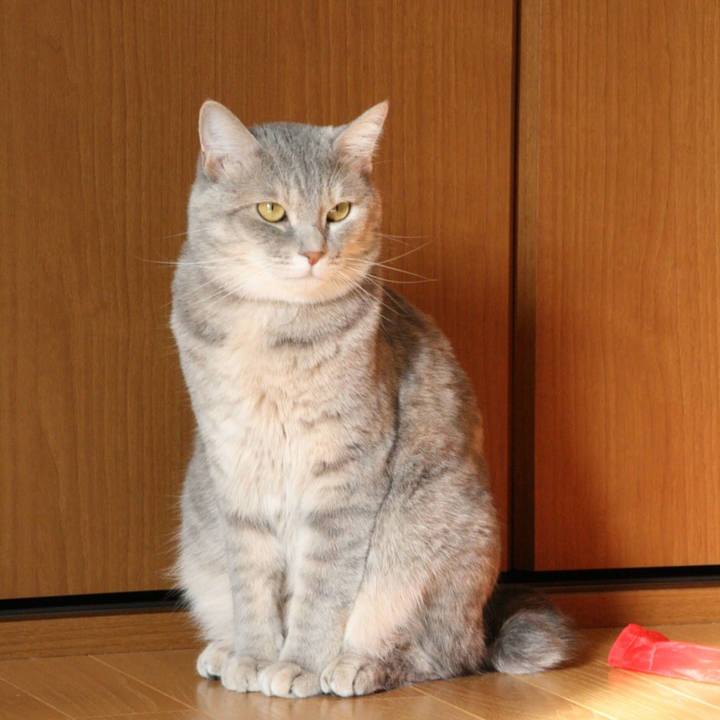 584317c4 1a89 4121 8641 aa73f51132bb 1535193102900