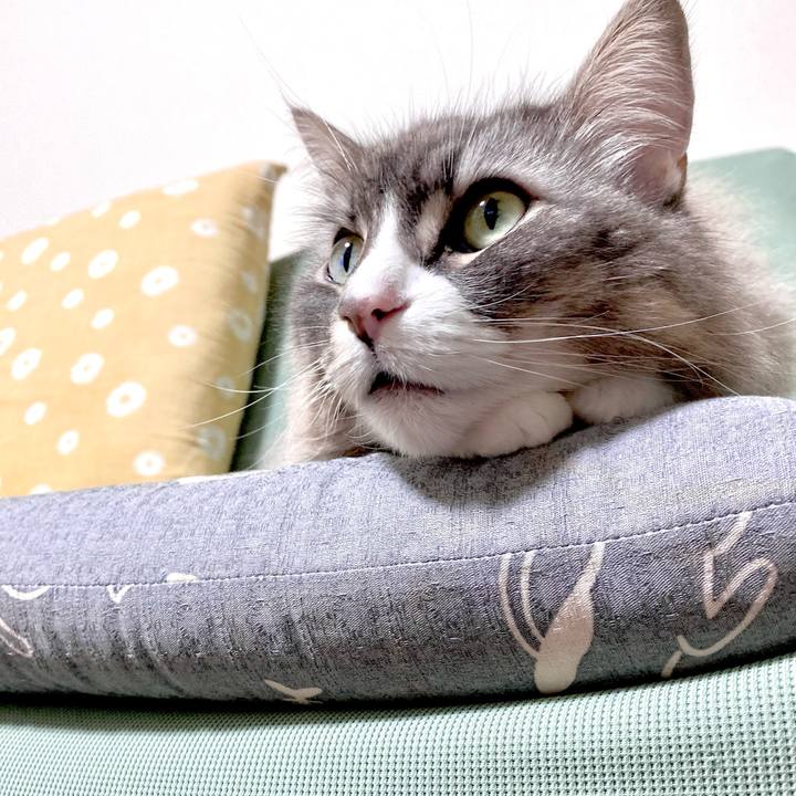 58432f32 2bdc 4a07 913e 8ae2e9269a18 1758042992533