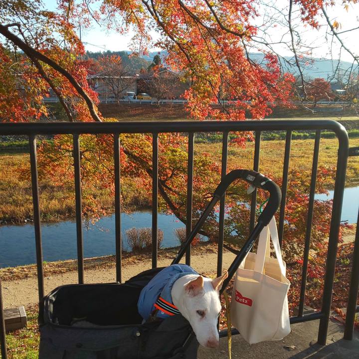 584391a2 e960 40b7 ae7c 3dfcf9ab6314 1575161372734