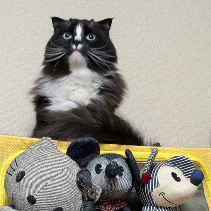 5843a6c9 b396 4af7 be8c 771cf9069d6e 1743420917914