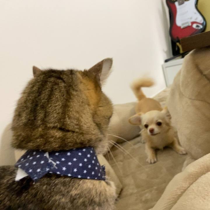 5843abef 1860 461e bda1 0c0022bb9122 1700225382525