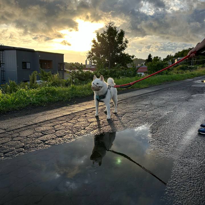 5843ad65 e560 465d aa3a df840e3197f2 1756242111215