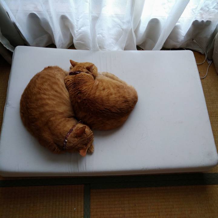 5843afbb dcd8 40ad 9a2e 3a738f53cf3d 1623737213449