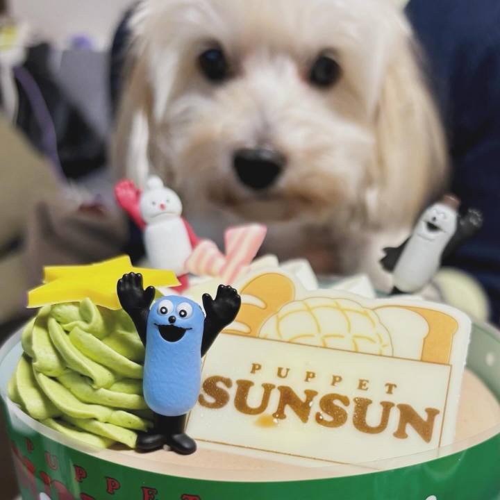 5843d2b0 7e0b 4240 8e23 c63a72f462b5 1766439389180