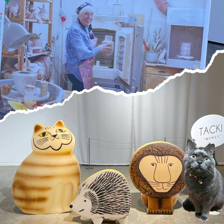 58442c87 f0d5 4a0f bf84 2aa10d49a36b 1770101296265