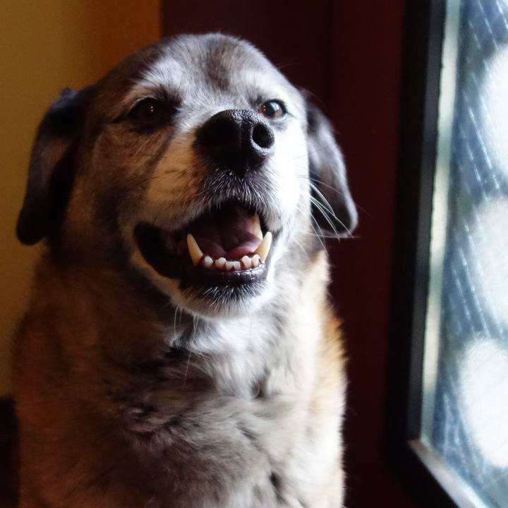 5844311d 7f8a 4ad4 b383 8c0439a8c7fa 1557017152120