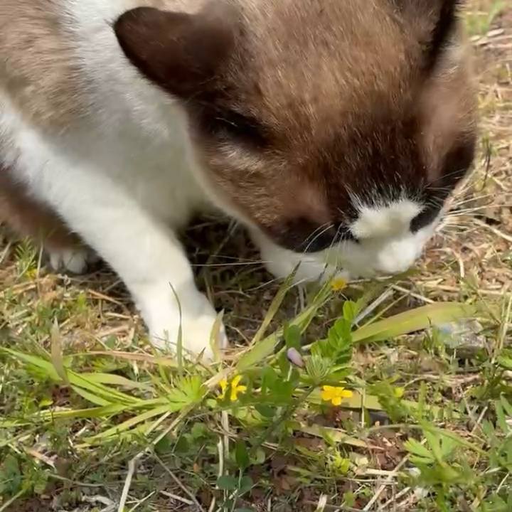 58444157 2c37 4fbc aa63 939c6ec3f640 1774622000720