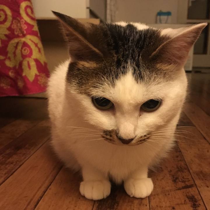 58444ac9 8d86 4edb a317 6f44e38f710b 1550042562125