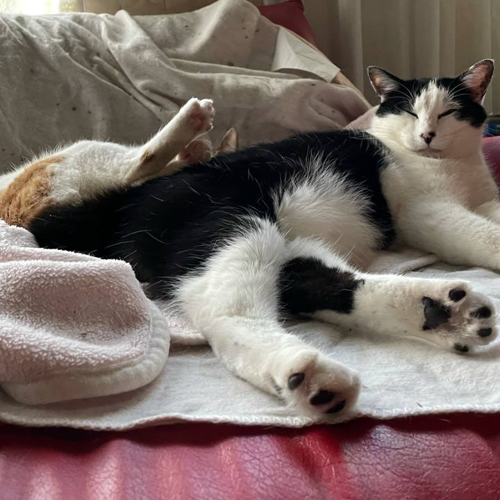 5844833f b210 4b3f 927b dfb150a2a219 1617921180703