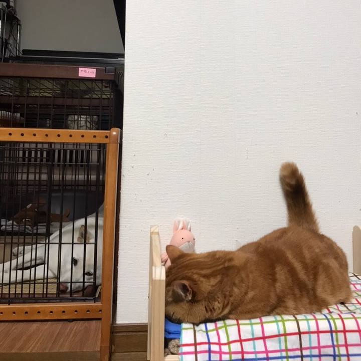 5844949f f885 4d81 a932 40b190d1e458 1558262426911