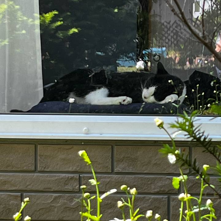 5844a42f 0f62 4b02 8950 246e1e65c7ba 1718081900160