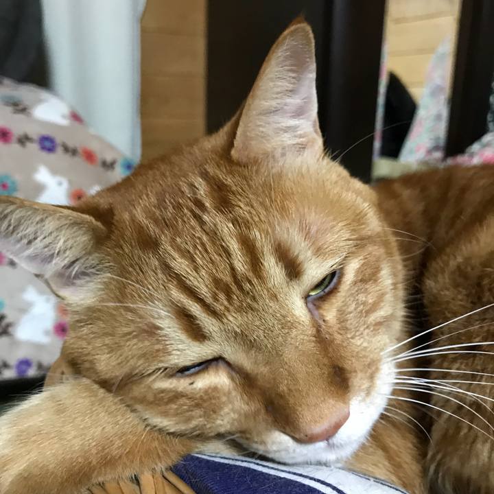 5844eb1b 2f87 4291 84dd bfa0699d23c8 1521298844591