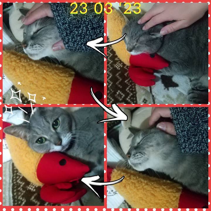 5844ee1b 152c 42d3 b2bc ee9f254a3d06 1704592126605