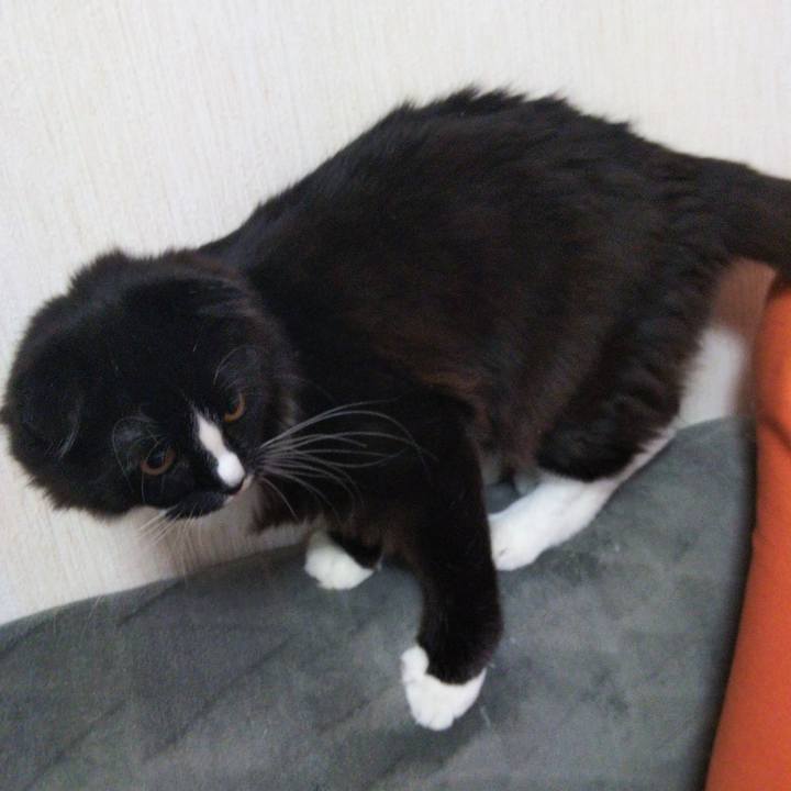 5844f2cc f524 4be9 bcea 055048fbe5d5 1646364982789