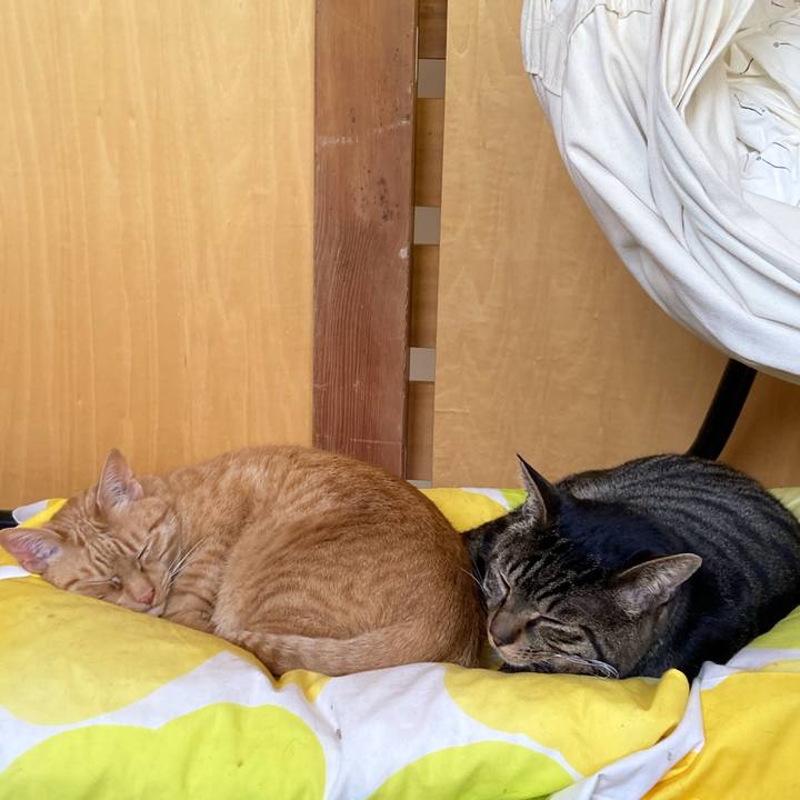 5844f516 9997 4d00 b76b 094c7f83ad8d 1680131161244