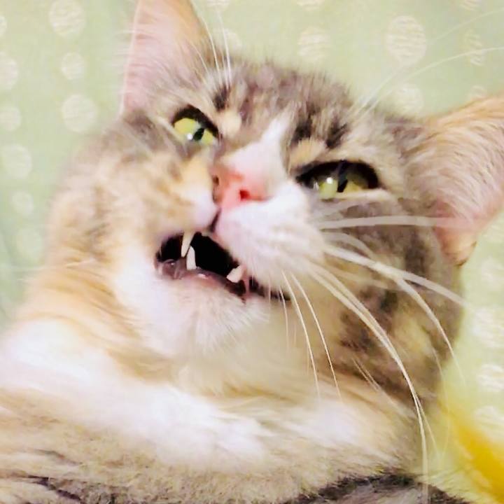 5844fbf4 9e23 4f3d a9ed 0a401a0ad6bc 1511523312656