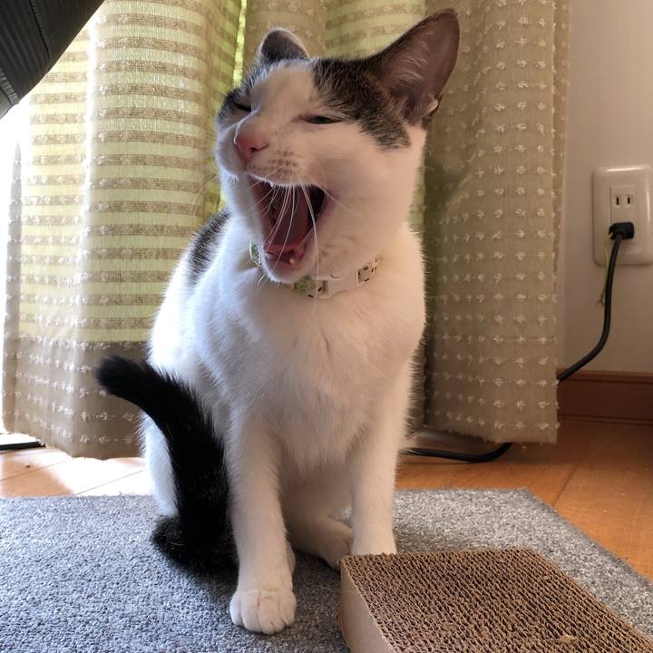 5845099e 0035 42ae 8e5a 0b9a8f29c2da 1579591939397