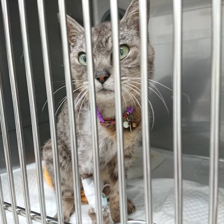 58452181 793b 420a 977f 8d95593c45f8 1597658248931