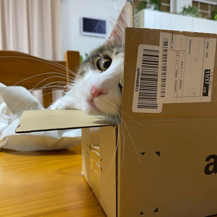 5845253c bd01 4411 8611 b8633f230a4f 1637181552099