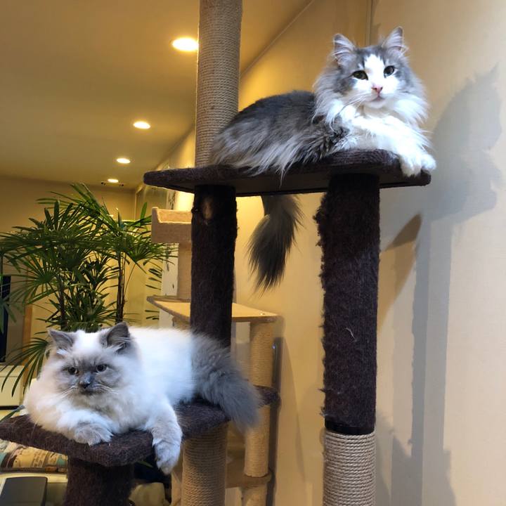 58453999 f967 47b1 abef 68874b3fb1ae 1525927451180