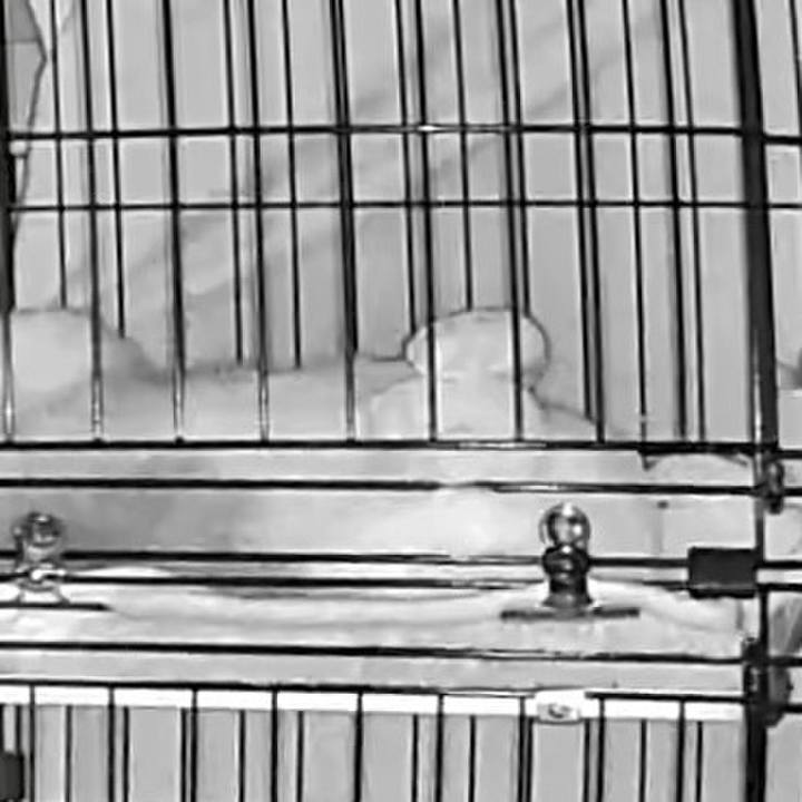 5845611c 8cbb 42d2 b81d c6e0ba1a7d0a 1750450156936