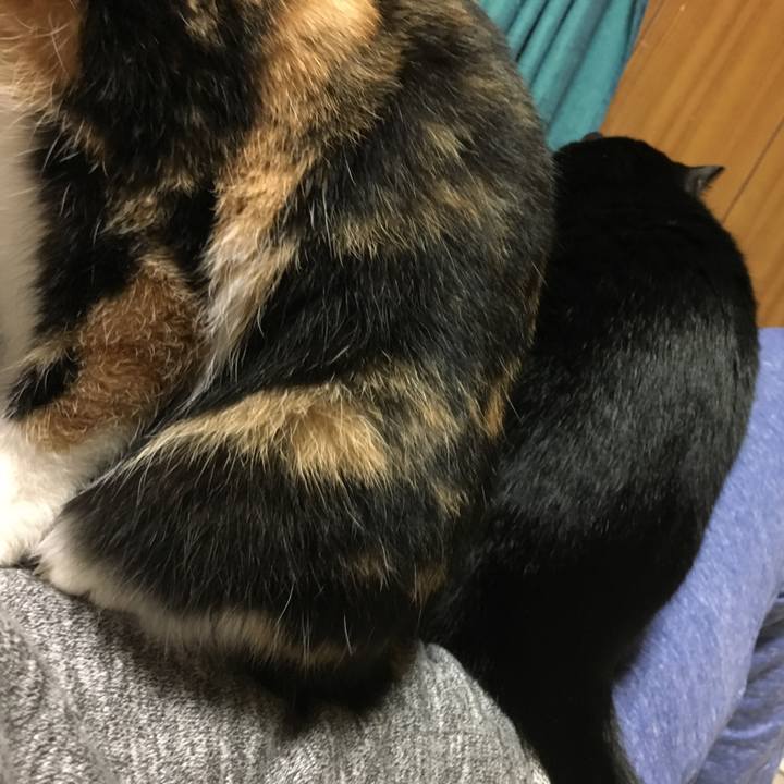 584570f9 cf22 4482 b879 2ab77c94b975 1511525131064