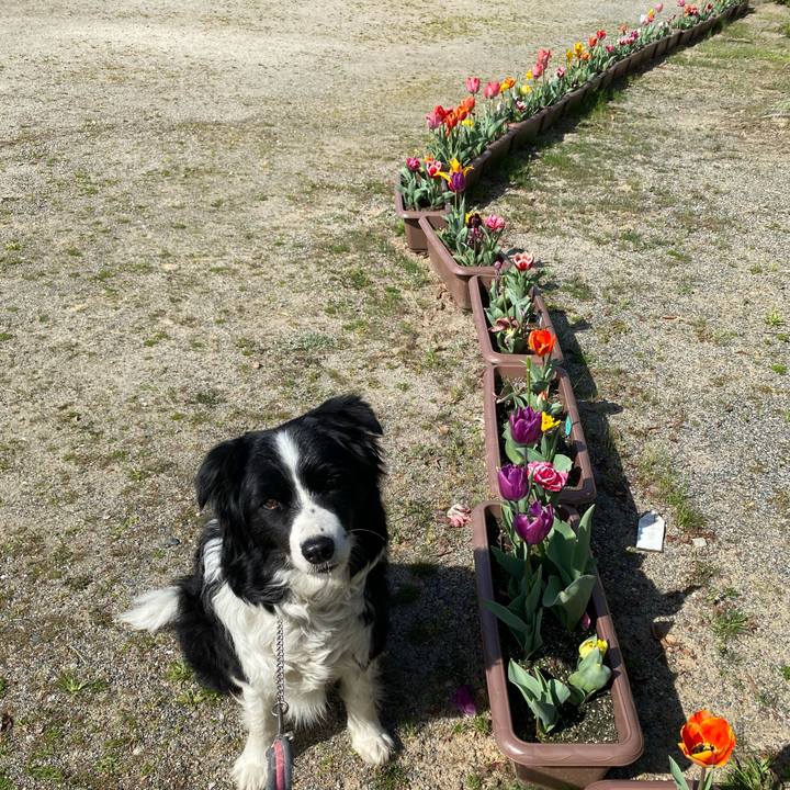 58458efd 4452 4bca 8140 27d95959ee75 1616807153662