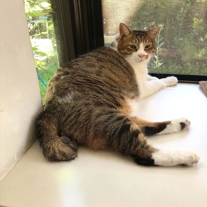 58459265 1245 45e0 b916 8369f20b9794 1631253494352