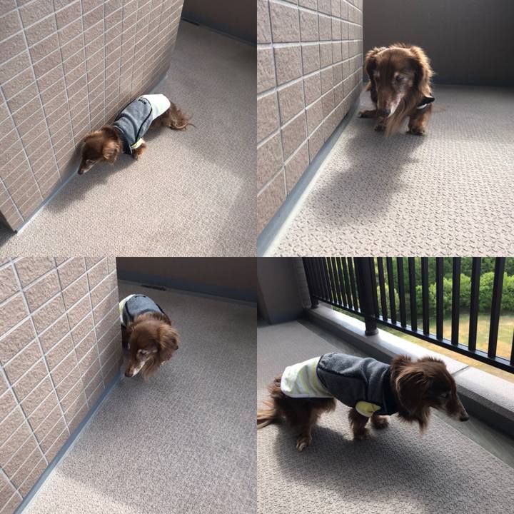 58459607 8615 41df b82f aa032bdb54ce 1587685661560