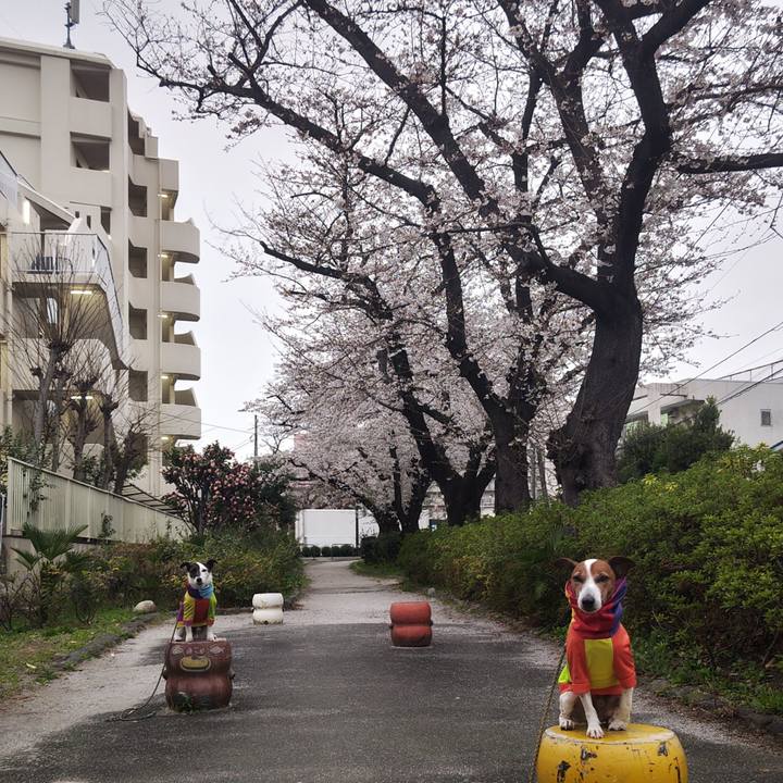 5845973d 13b4 4fac 8ffa 656378a3dff1 1743110450507