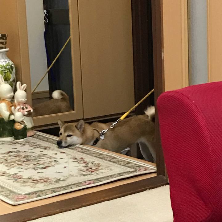 5845bb91 32bf 46f2 b64e b5947a45d26c 1534210657546