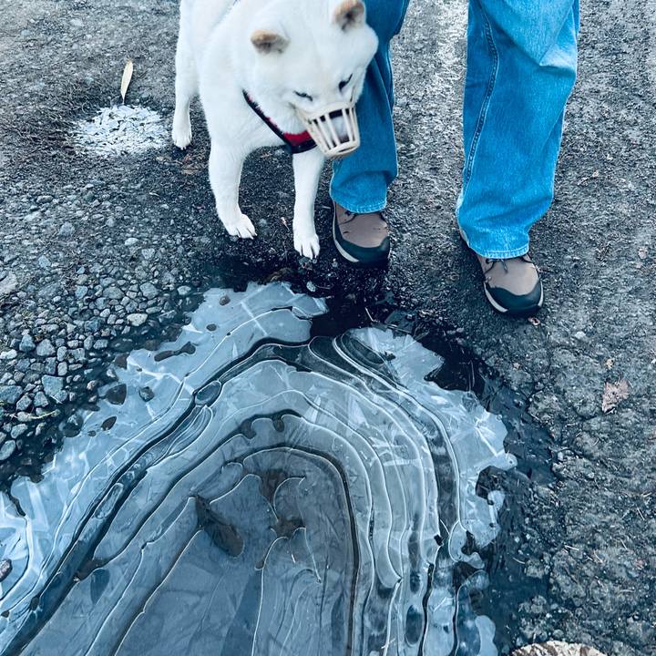 5845bddf 6cb3 4326 a94b 7a876da57395 1764628188316