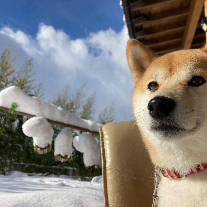 5845d319 e2cc 4d53 9764 eb41b9137735 1640656722980