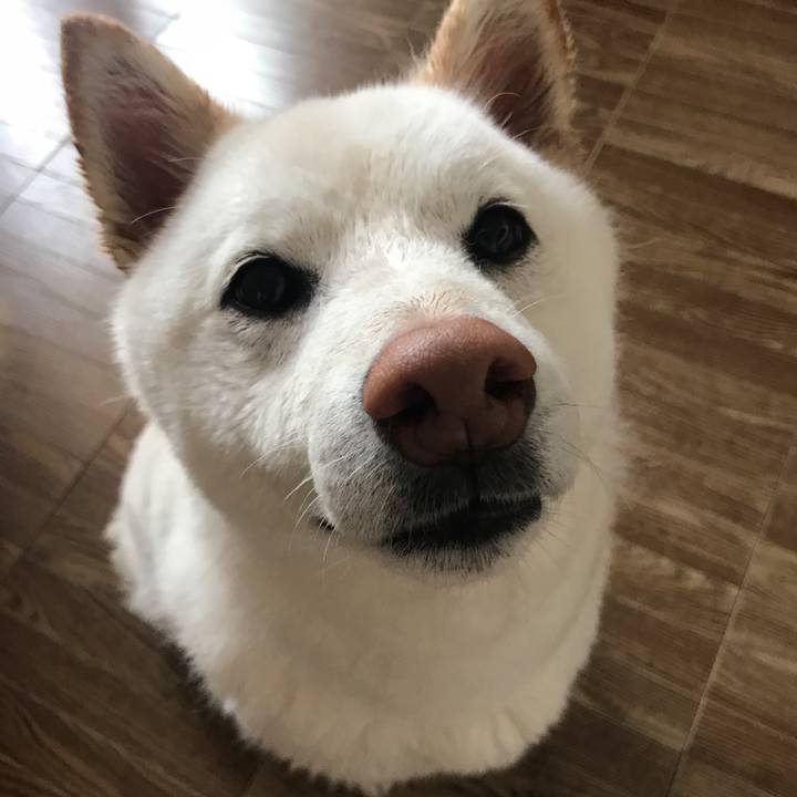 584620b9 6dcd 4130 977c c90bf6048ad1 1524978494573