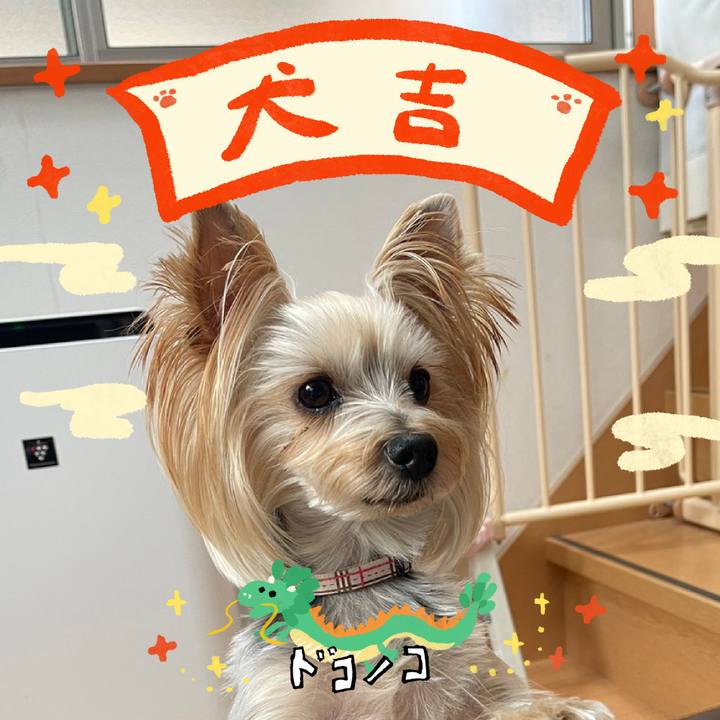 58462fda ec3c 47a2 873c 593f926a0ec8 1704062512319