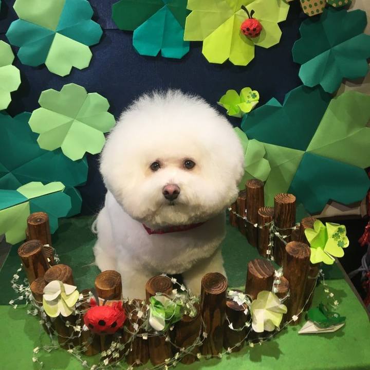 5846421f 8674 48c1 9082 69891096b16b 1586599283738