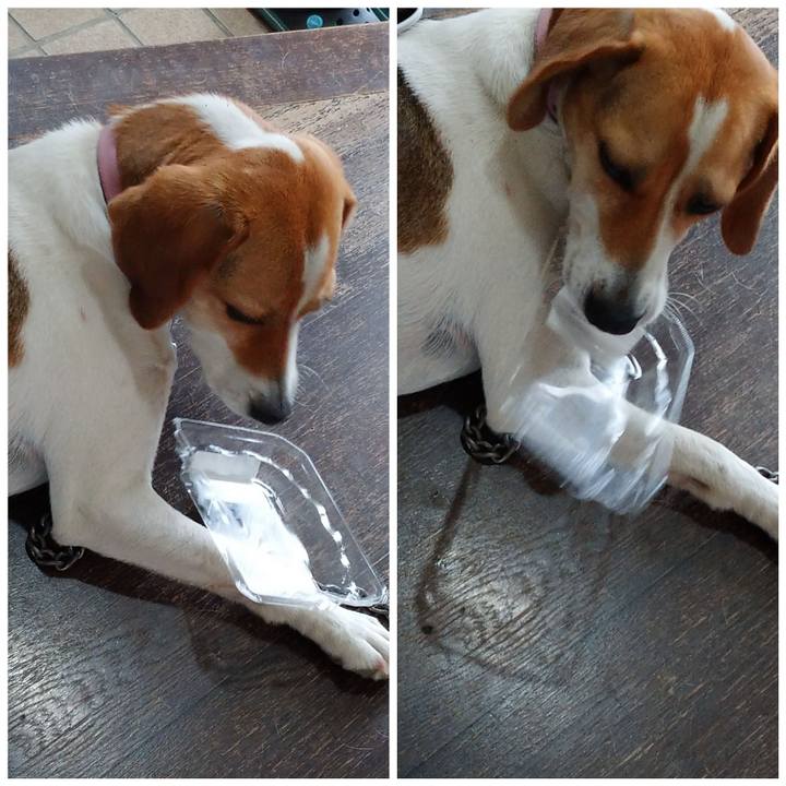 584644fb 7263 4d61 bcd8 c4e914421065 1593241080818