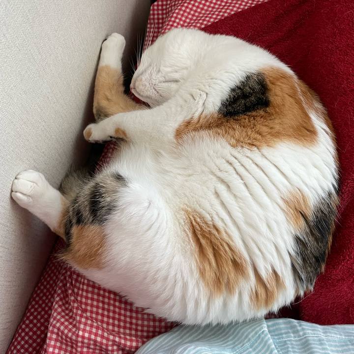 584655b1 98b4 45ad 981f 055ec28641c0 1655594819837