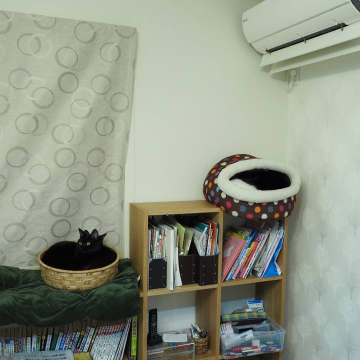 5846917b 830f 4362 9650 ac0d13541c34 1545921420457